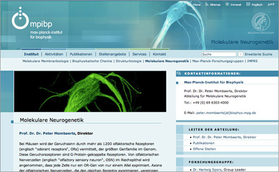 Homepage f&uuml;r das Max-Planck-Institut f&uuml;r Biophysik